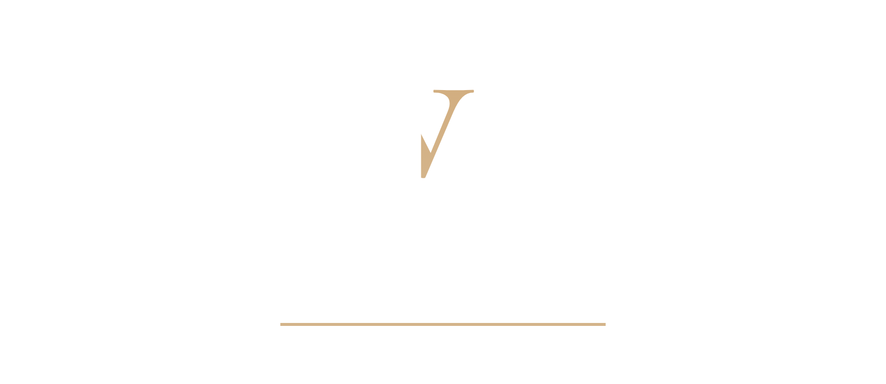 JVF Finance